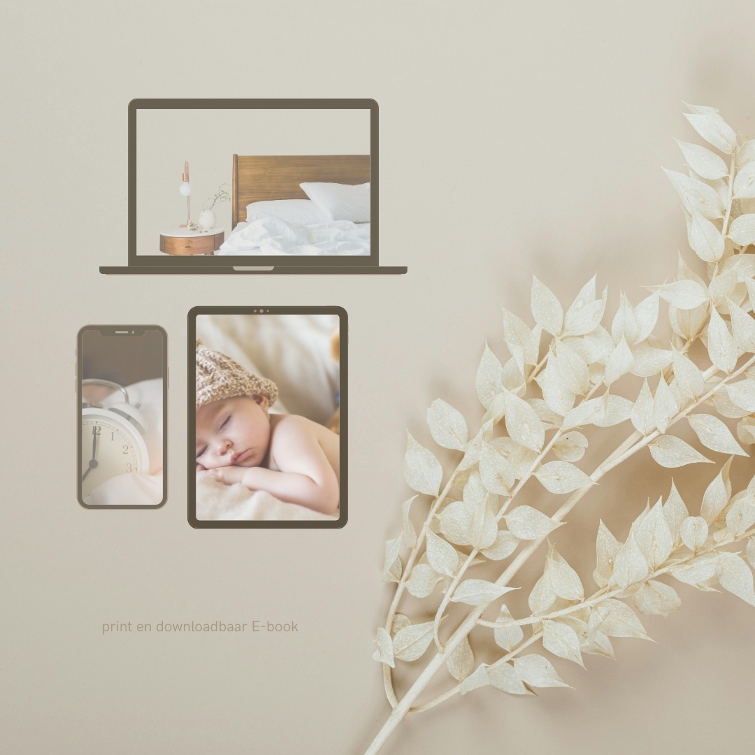 De Slaapregressie Survival Gids mockup op laptop, tablet en telefoon